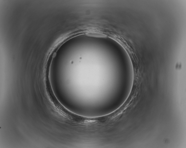 X0000095900055200801111219