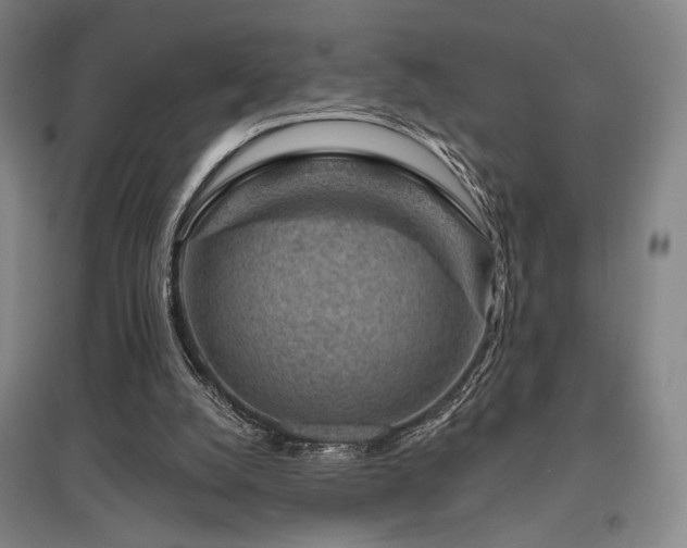 X0000095900056200801111219