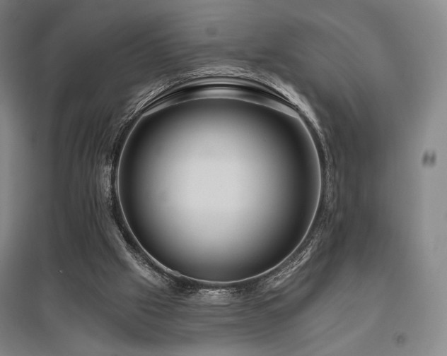 X0000095900057200801111219