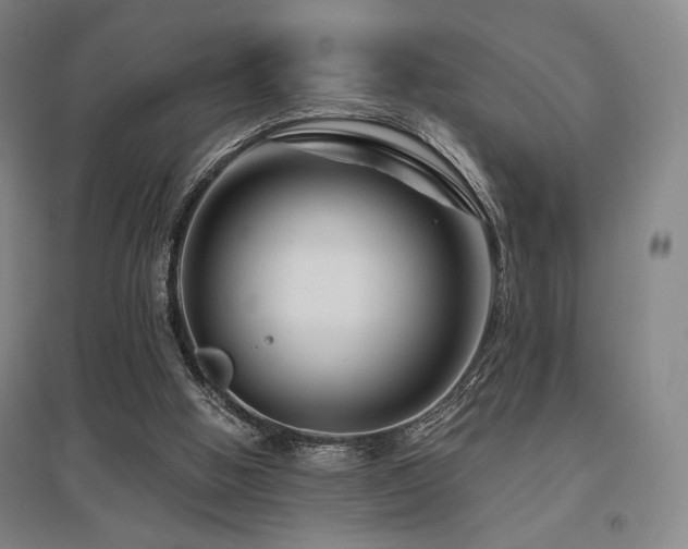 X0000095900058200801111219
