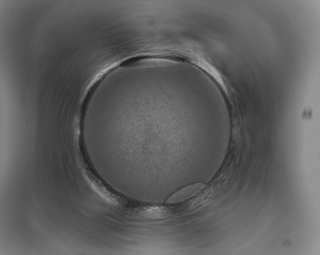 X0000095900059200801111219