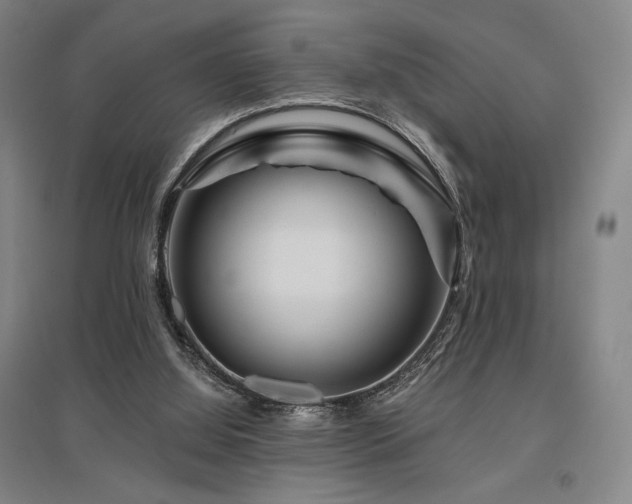 X0000095900060200801111219