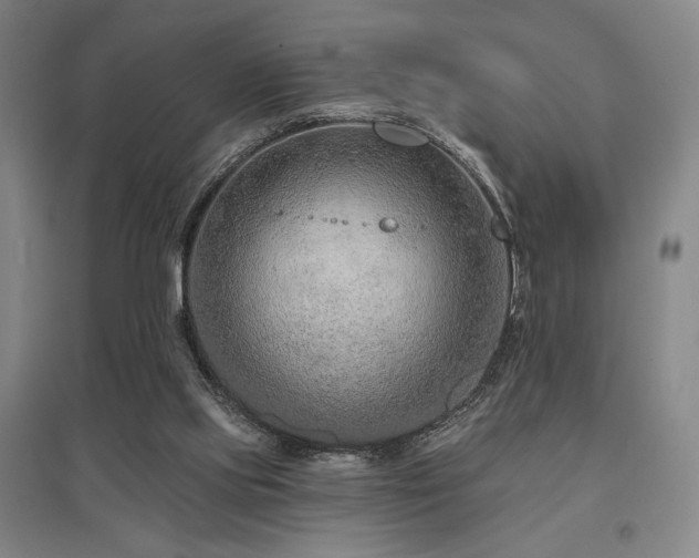 X0000095900061200801111219