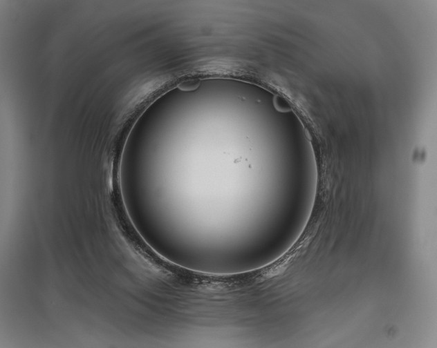 X0000095900062200801111219