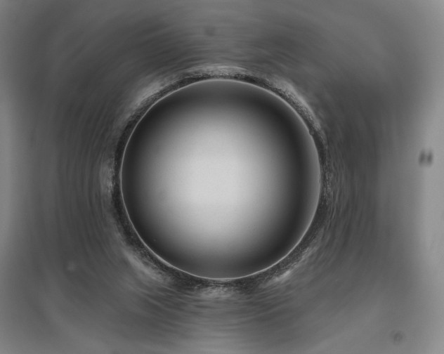 X0000095900063200801111219
