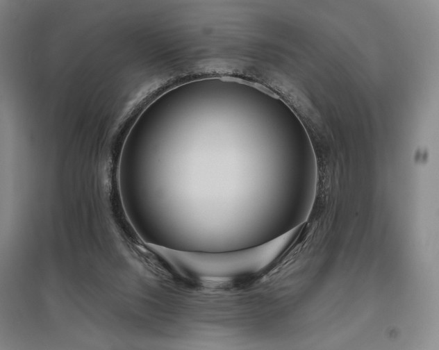 X0000095900064200801111219