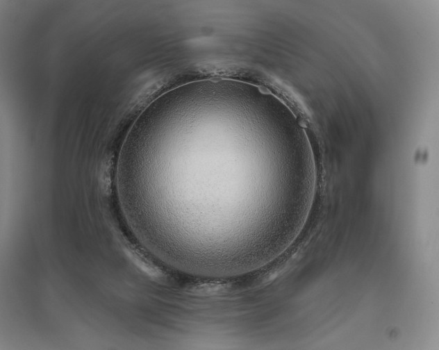 X0000095900065200801111219