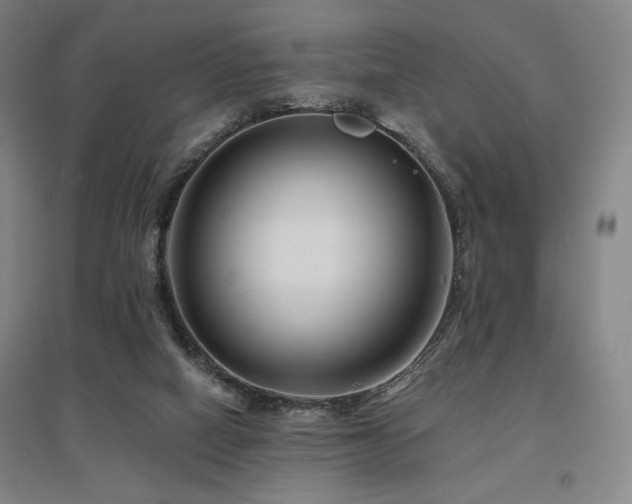 X0000095900066200801111219