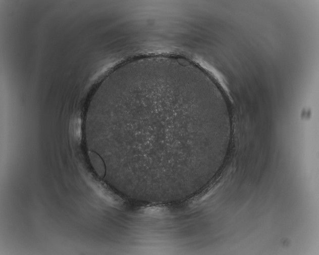 X0000095900067200801111219