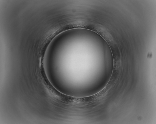 X0000095900070200801111219
