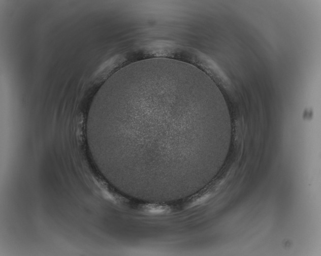 X0000095900073200801111219
