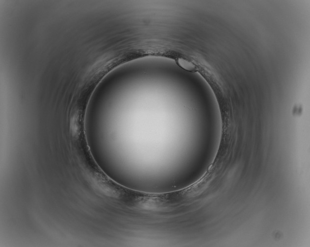 X0000095900074200801111219
