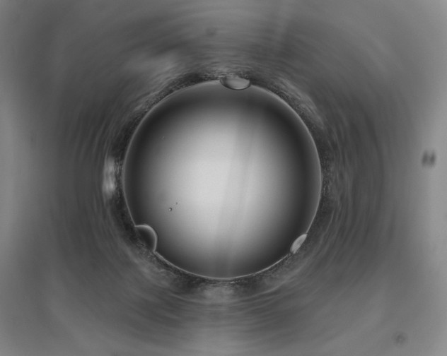 X0000095900075200801111219
