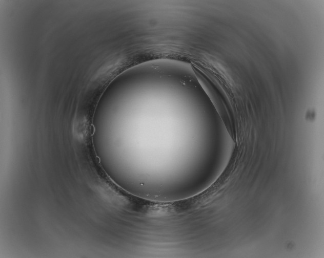 X0000095900077200801111219