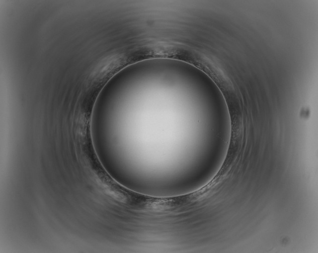 X0000095900078200801111219