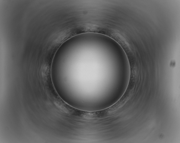 X0000095900079200801111219