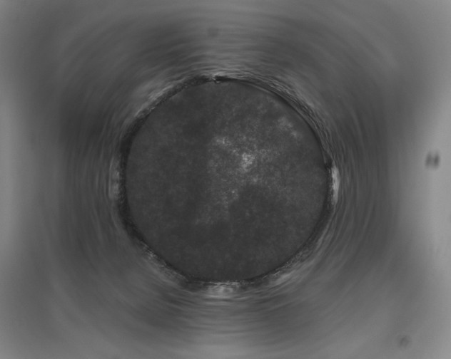 X0000095900080200801111219