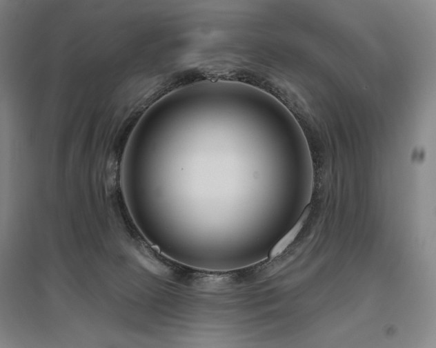 X0000095900081200801111219