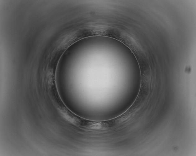 X0000095900083200801111219