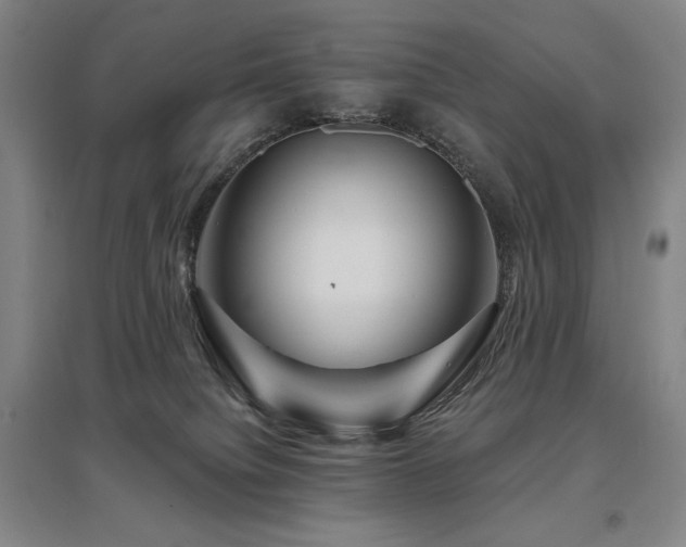 X0000095900084200801111219