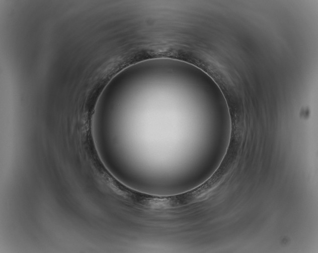 X0000095900085200801111219