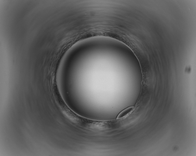 X0000095900086200801111219