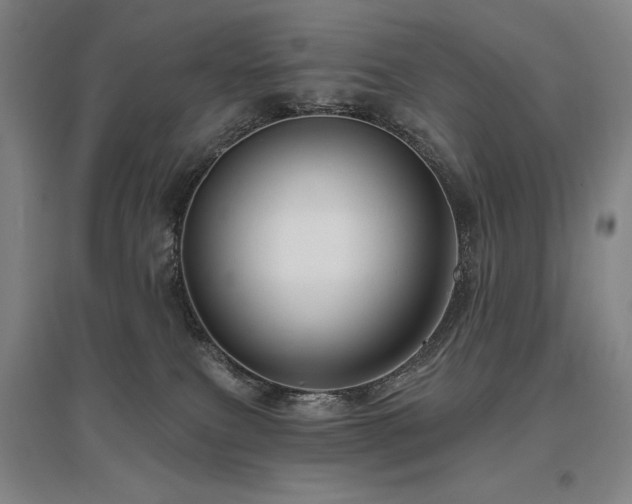 X0000095900087200801111219