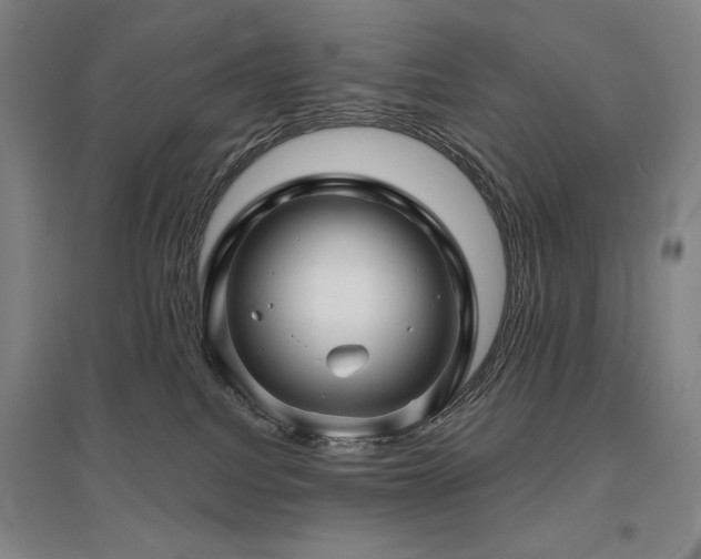 X0000095900088200801111219