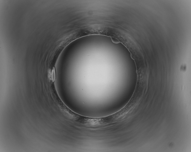 X0000095900089200801111219