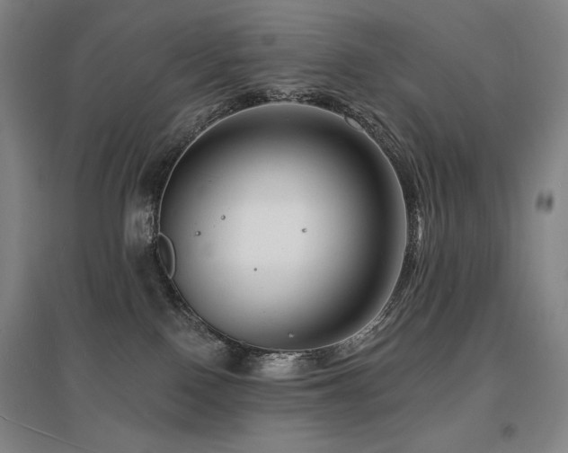 X0000095900090200801111219