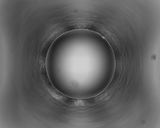 X0000095900091200801111219