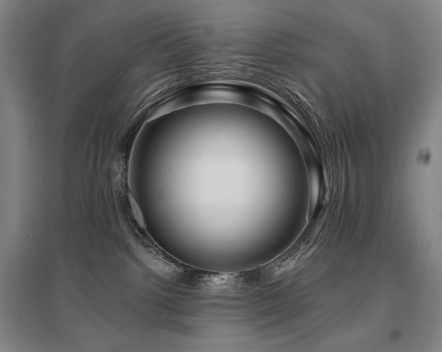 X0000095900092200801111219