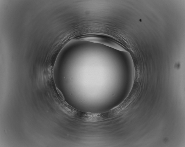 X0000095900093200801111219