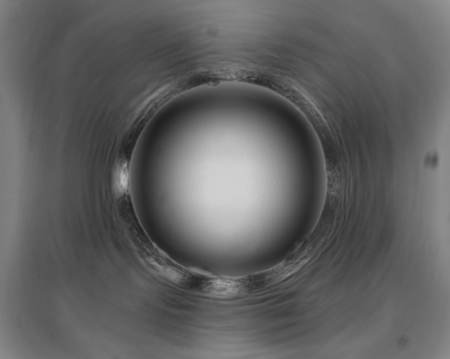 X0000095900095200801111219
