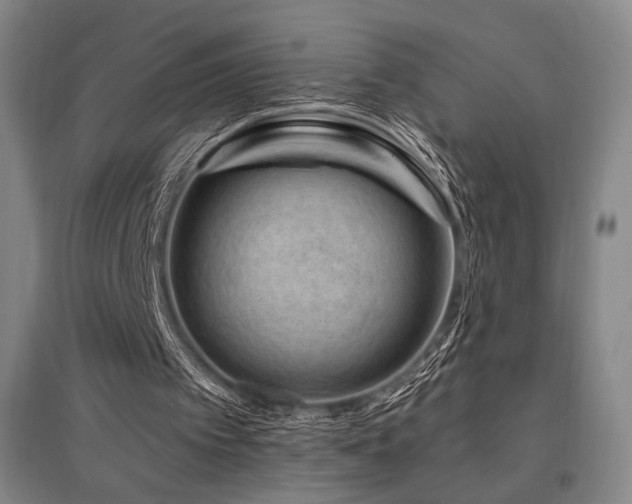 X0000095900097200801111219