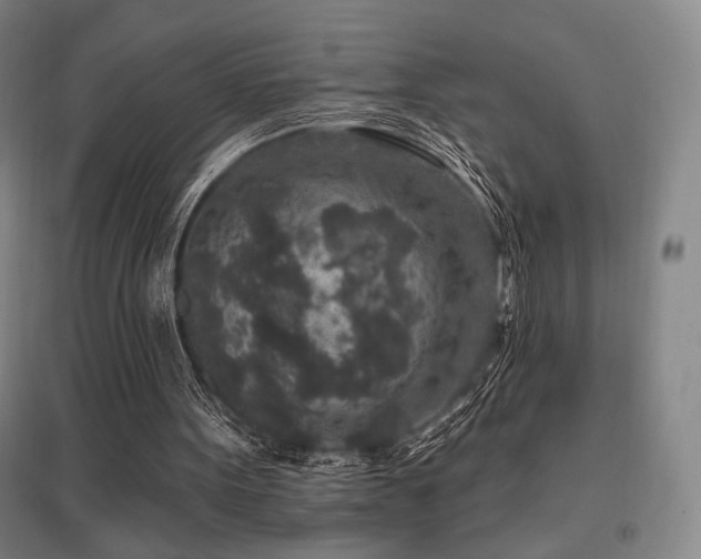 X0000095900099200801111219