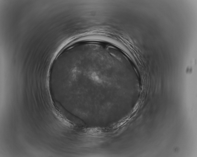 X0000095900100200801111219