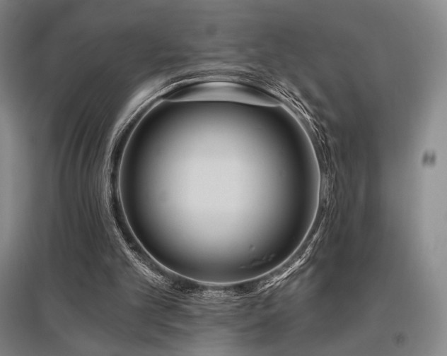 X0000095900101200801111219