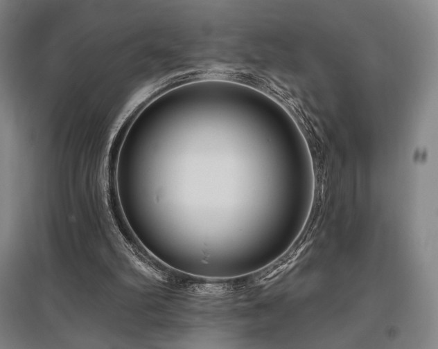 X0000095900102200801111219