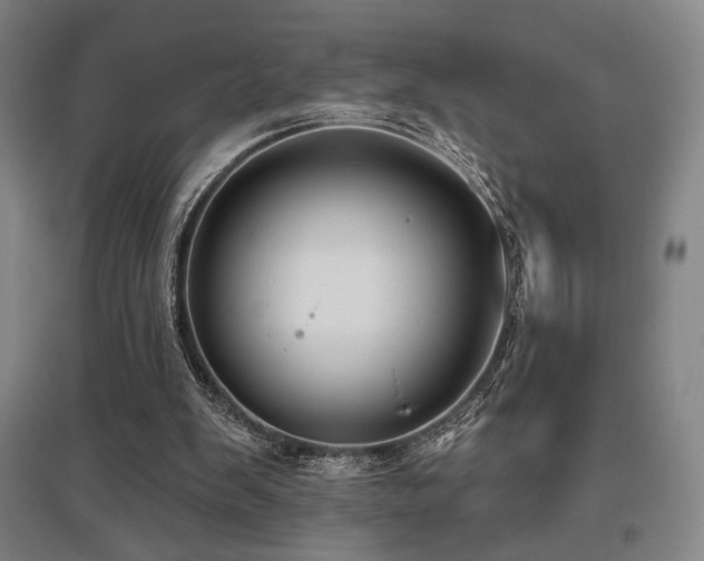 X0000095900103200801111219