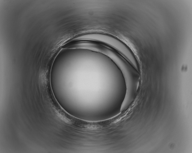 X0000095900105200801111219