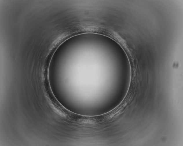 X0000095900106200801111219
