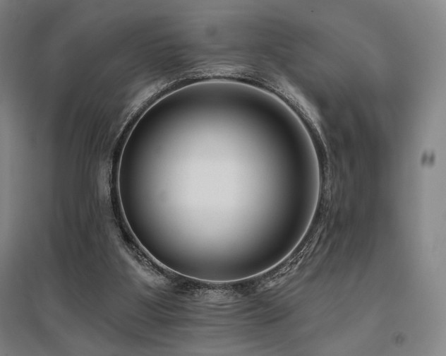 X0000095900107200801111218
