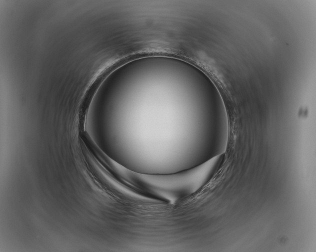 X0000095900108200801111218