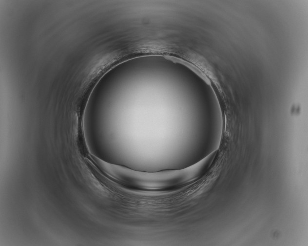 X0000095900109200801111218