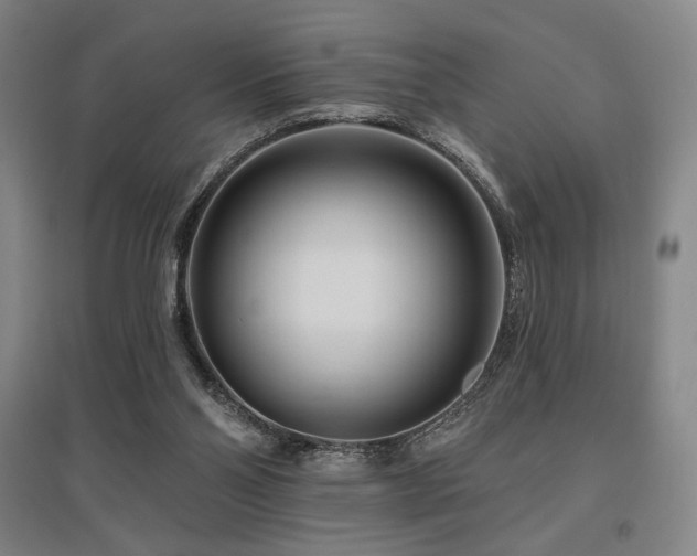 X0000095900110200801111218