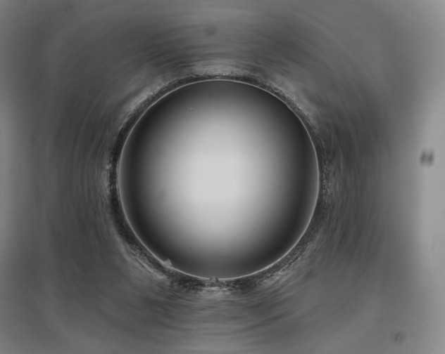 X0000095900111200801111218