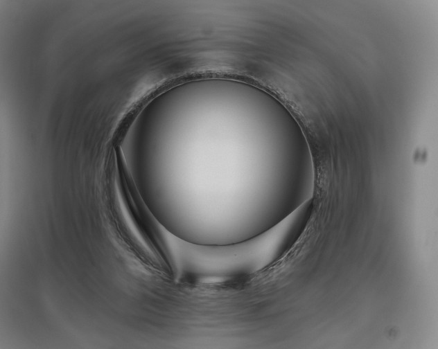 X0000095900112200801111218