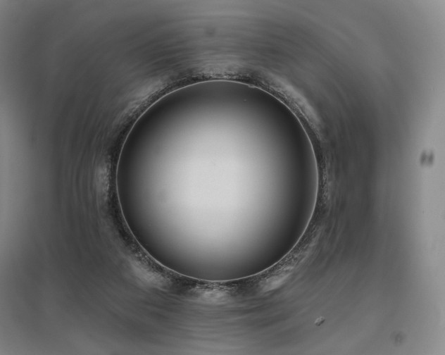 X0000095900113200801111218