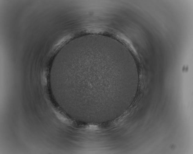 X0000095900114200801111218